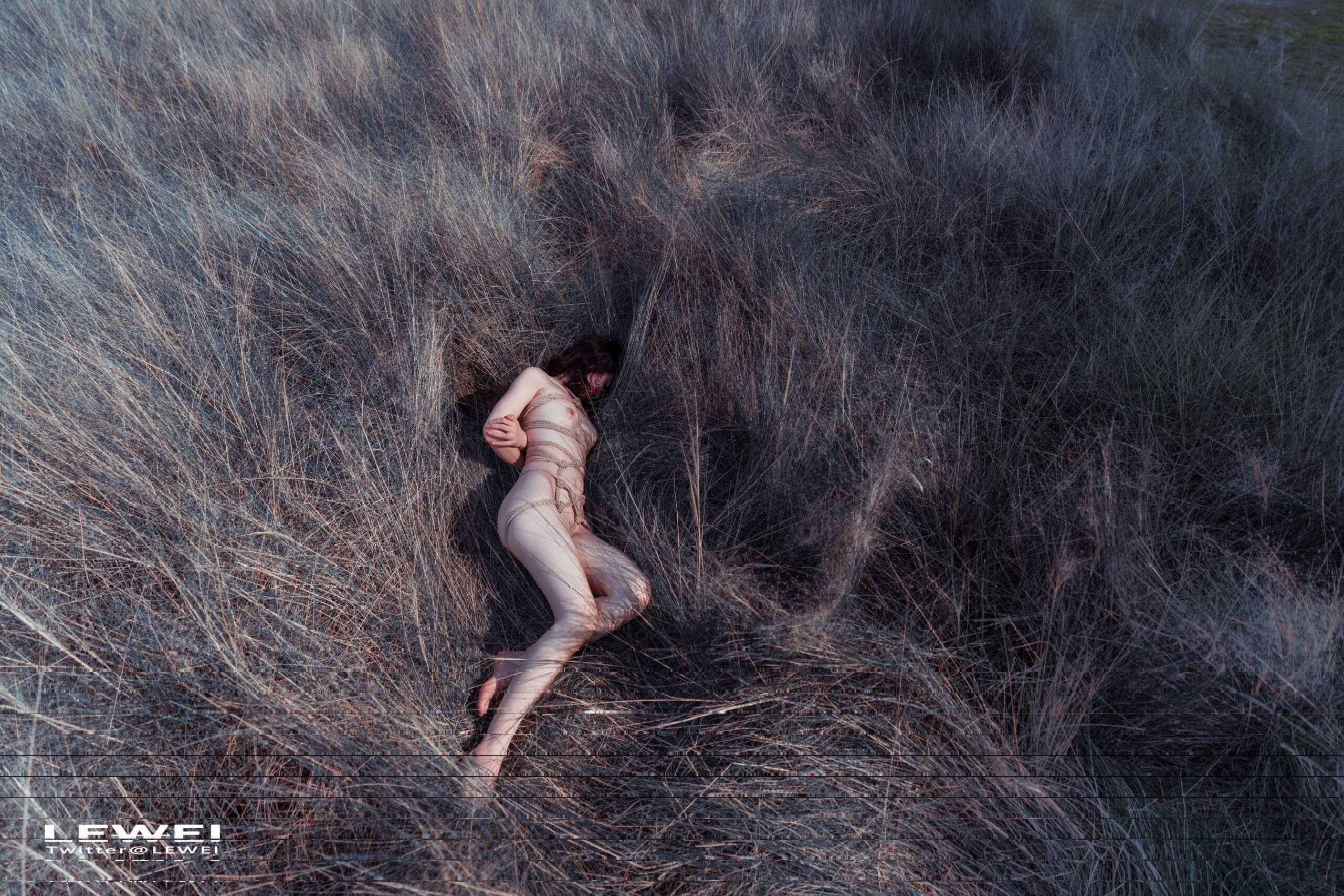 [20V+64P/345MB]【Sion诗音@shiyin_sion】多图大型资源合集